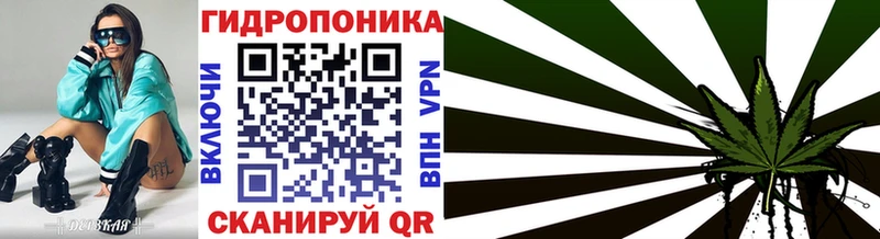 Шишки марихуана THC 21%  Пошехонье 